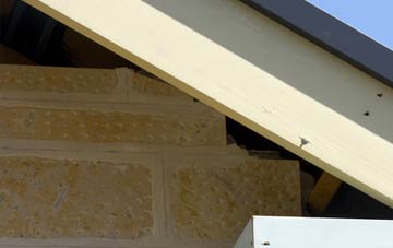 soffit repair Chickerell